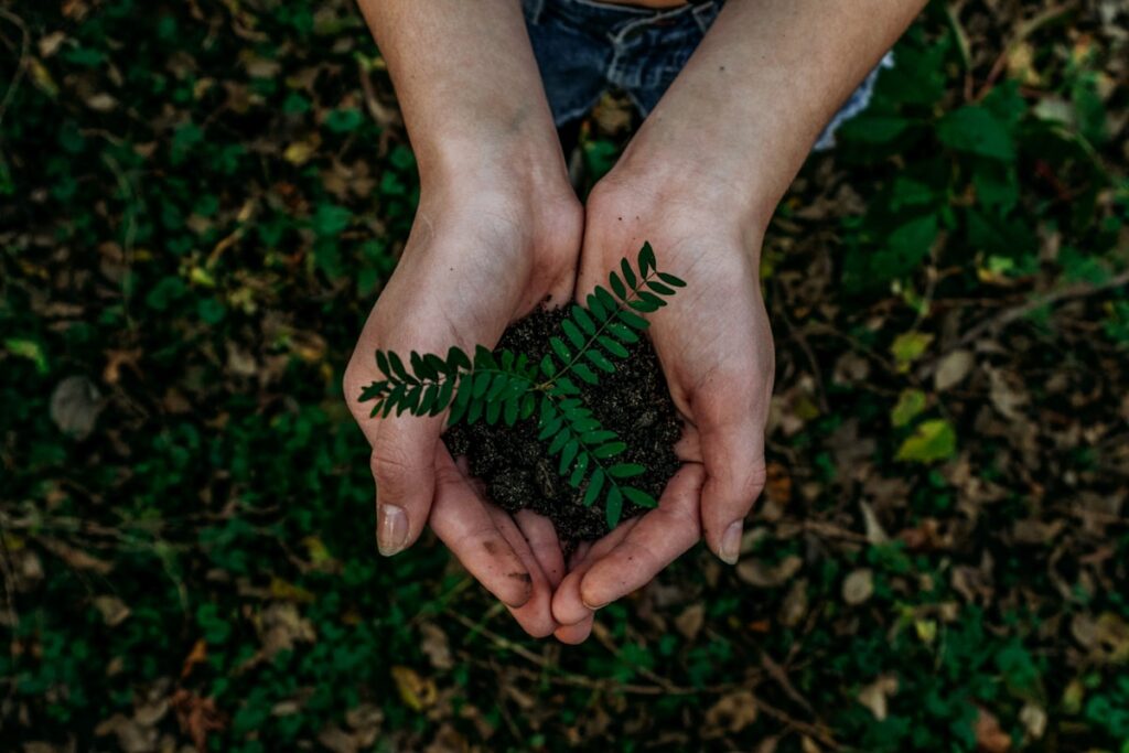 Sustainable living tips including energy-efficient light bulbs, reusable items, and eco-friendly practices