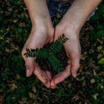 Sustainable living tips including energy-efficient light bulbs, reusable items, and eco-friendly practices